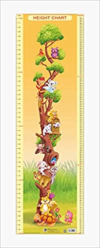 Dreamland Height Chart - 2