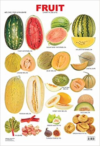 Dreamland Fruit Chart - 4