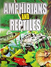 Amphibiana And Reptiles