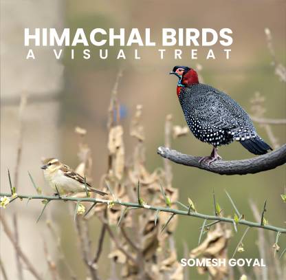 Himachal Birds-A Visual Treat