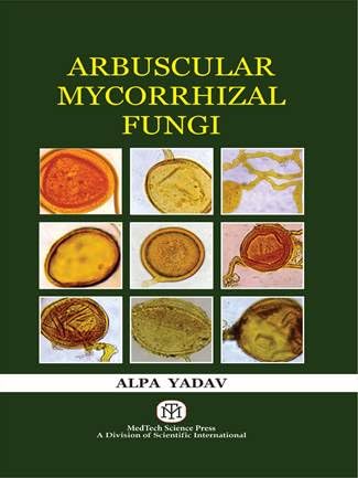 ARBUSCULAR MYCORRHIZAL FUNGI 