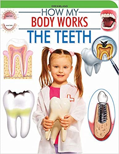 Dreamland The Teeth (How My Body Works)