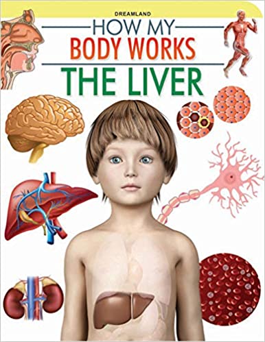 Dreamland The Liver (How My Body Works)
