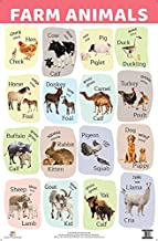 Charts: Farm Animals Charts (Educational Charts for kids)