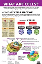 Charts: What are Cells? Charts (Educational Charts for kids)