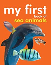Board book: My First Book of Sea Animals