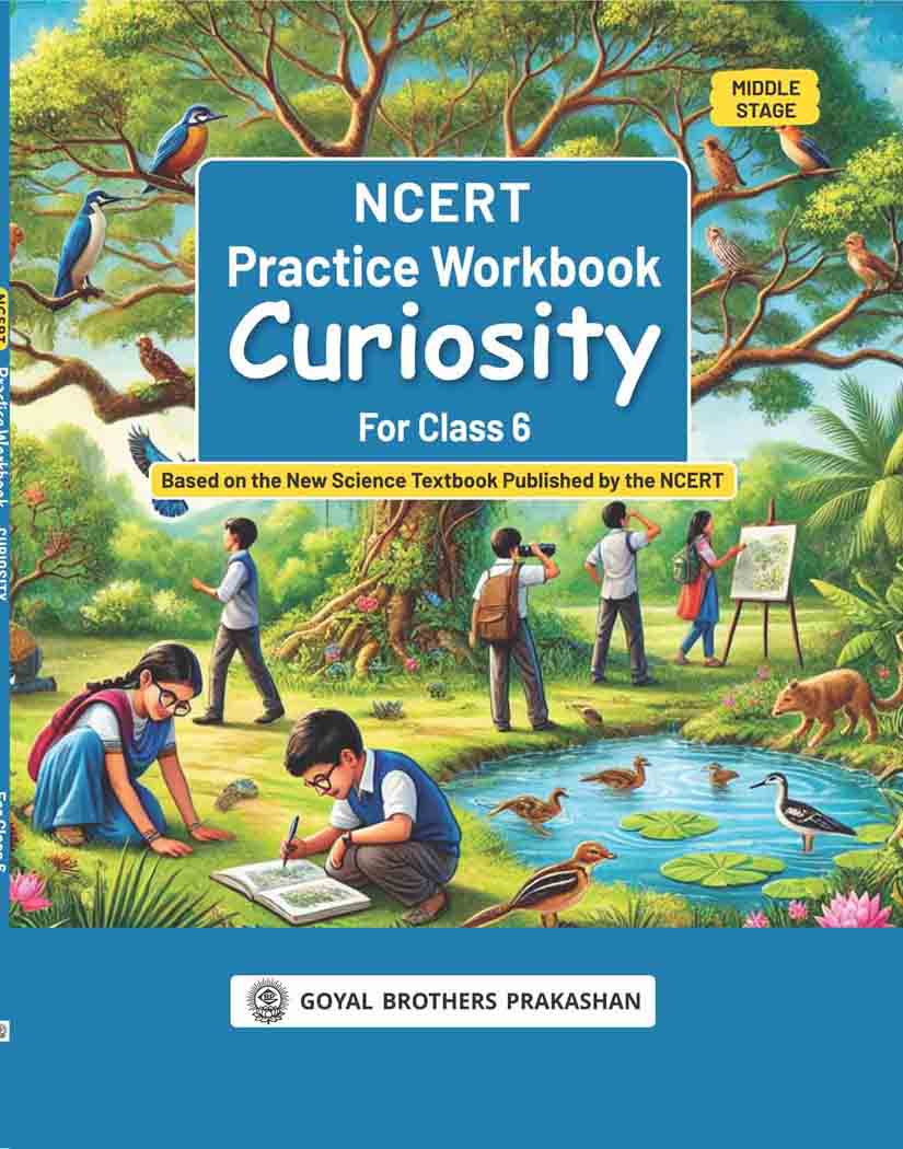 NCERT Practice Workbook Curiosity Class 6 (AY 2025-26)