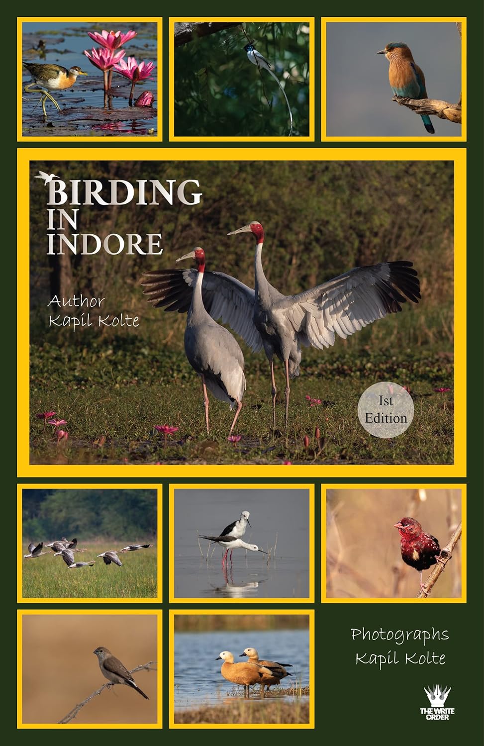 BIRDING IN INDORE 