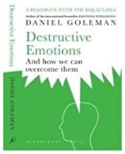 Destructive Emotions