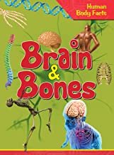 Human Body: Brain & Bones- Human Body Facts
