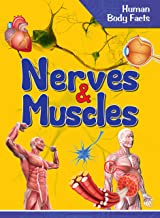 Human Body: Nerves & Muscles- Human Body Facts