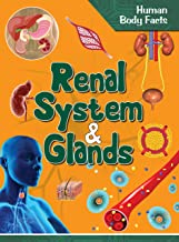Human Body: Renal System & Glands- Human Body Facts