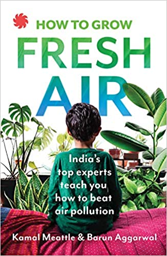 How To Grow Fresh Air: India's Top Experts Teach You How to Beat Air Pollution