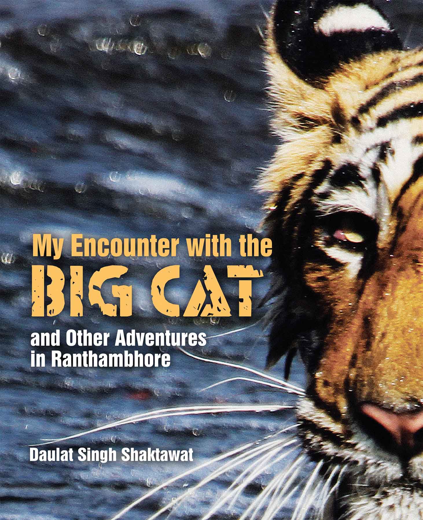 My Encounter with the BIG CAT and Other Adventures in Ranthambhore