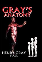 Gray's Anatomy 