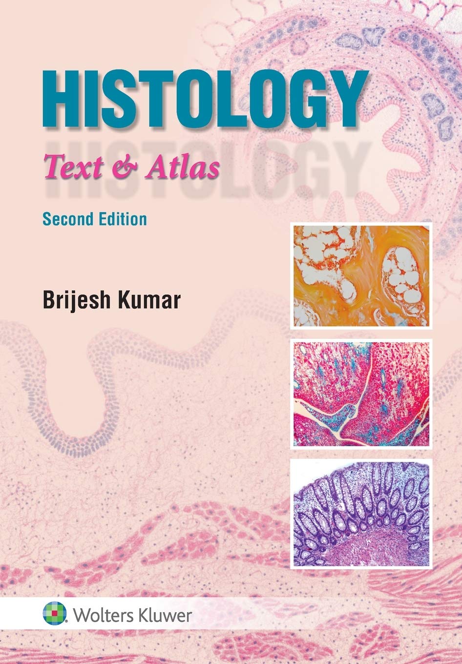 Histology: Text & Atlas: Text & Atlas, 2nd Edition