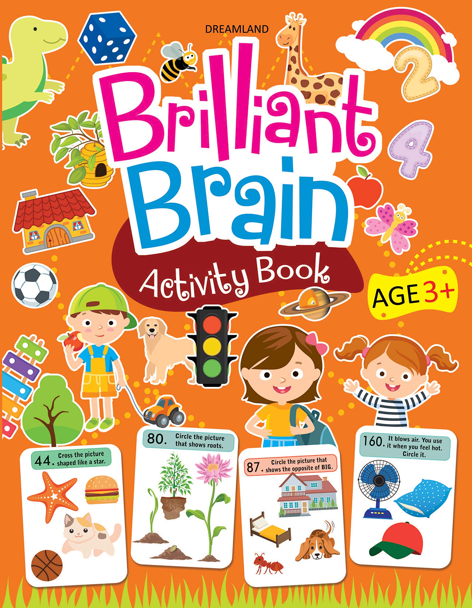 Brilliant Brain Activity Book (Age 3+)
