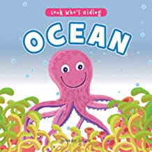 Look Who's Hiding - Ocean : Pull The Tab Novelty Books For Children