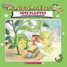 MSB: GETS PLANTED-A BOOK ABOUT PHOTOSYNTHESIS