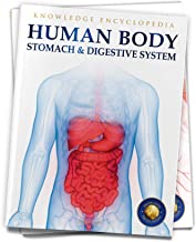 Human Body - Stomach And Digestive System: Knowledge Encyclopedia For Children