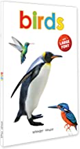 Birds - Early Learning Board Book With Large Font : Big Board Books Series